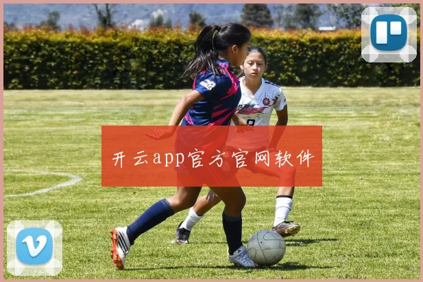 开云app官方官网软件