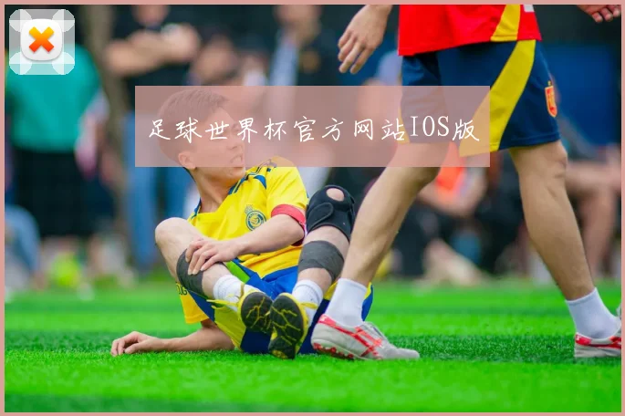 足球世界杯官方网站IOS版