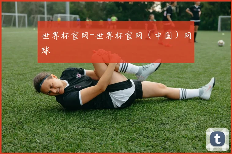 世界杯官网-世界杯官网（中国）网球