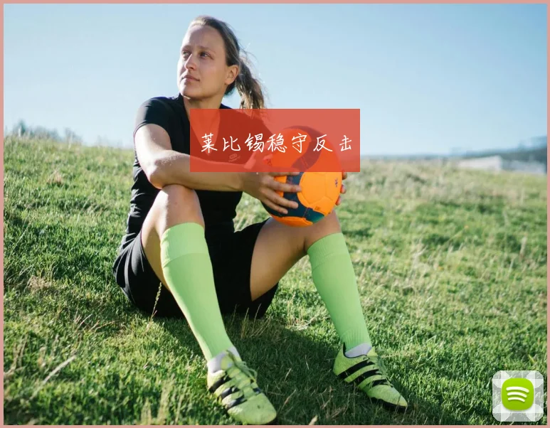 莱比锡稳守反击