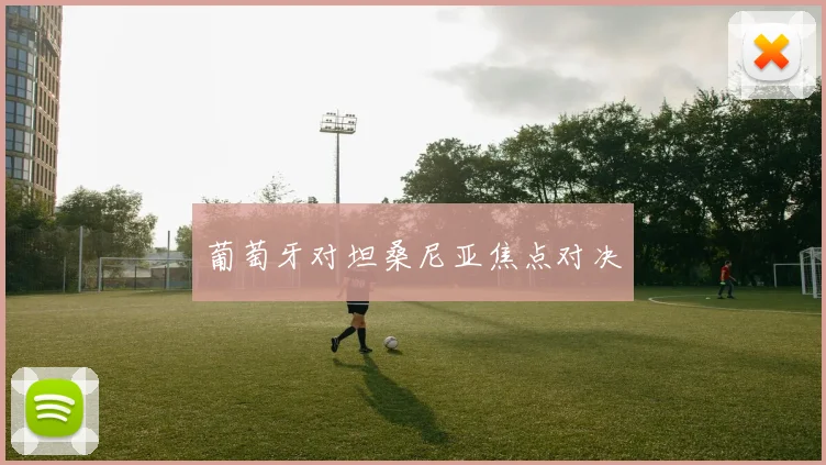 葡萄牙对坦桑尼亚焦点对决