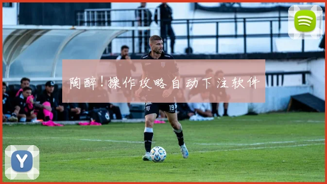 陶醉!操作攻略自动下注软件