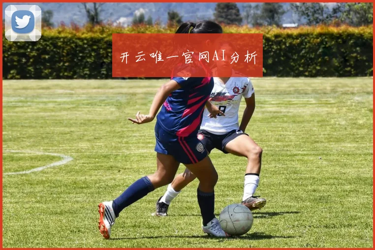 开云唯一官网AI分析