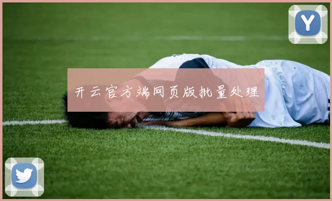 开云官方端网页版批量处理