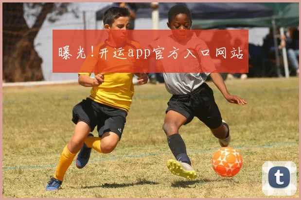 曝光!开运app官方入口网站