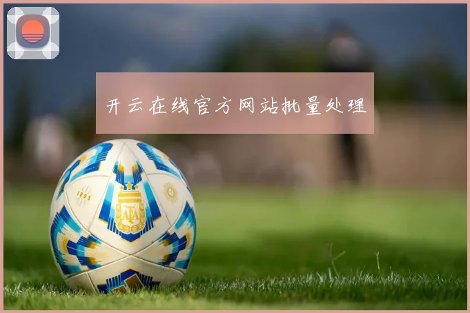 开云在线官方网站批量处理