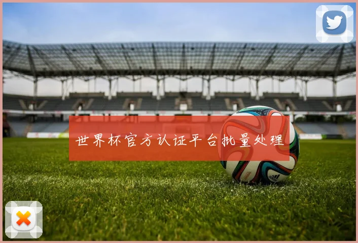世界杯官方认证平台批量处理