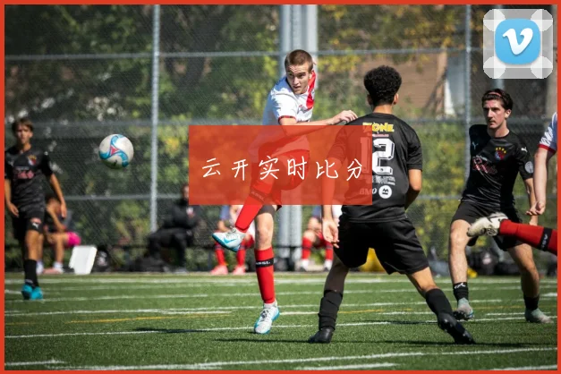 云开实时比分