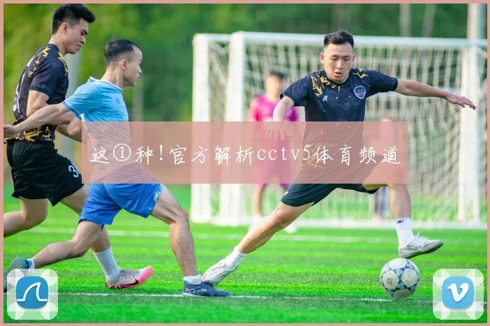 这①种!官方解析cctv5体育频道