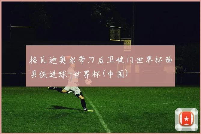 格瓦迪奥尔带刀后卫破门世界杯面具侠进球-世界杯(中国)