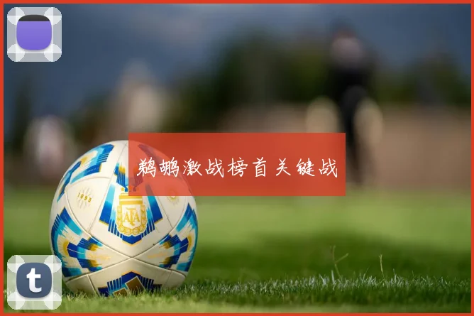 鹈鹕激战榜首关键战