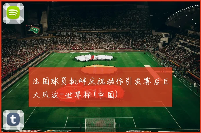 法国球员挑衅庆祝动作引发赛后巨大风波-世界杯(中国)