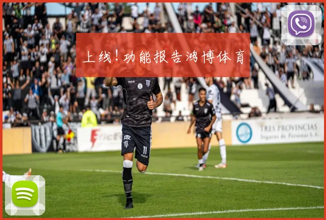 上线!功能报告鸿博体育