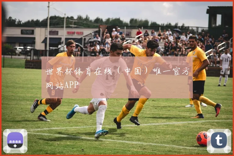 世界杯体育在线(中国)唯一官方网站APP