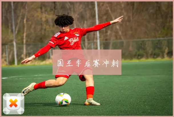 国王季后赛冲刺