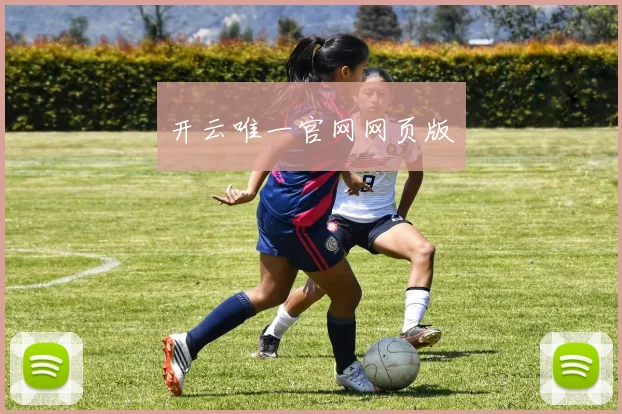 开云唯一官网网页版