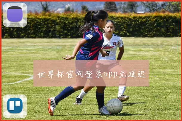 世界杯官网登录app无延迟