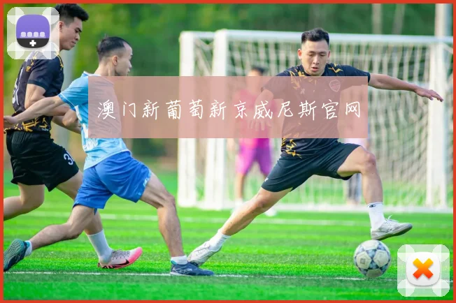 澳门新葡萄新京威尼斯官网