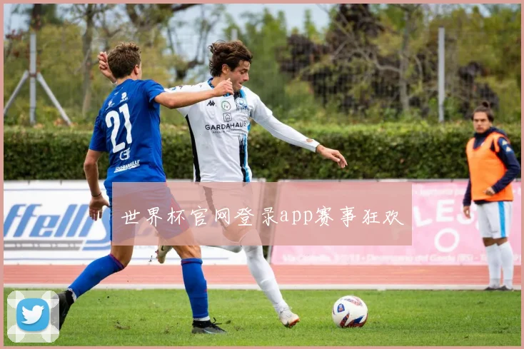 世界杯官网登录app赛事狂欢