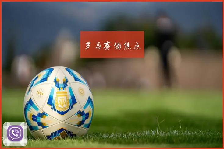 罗马赛场焦点