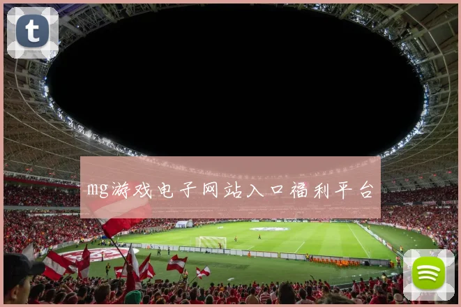 mg游戏电子网站入口福利平台