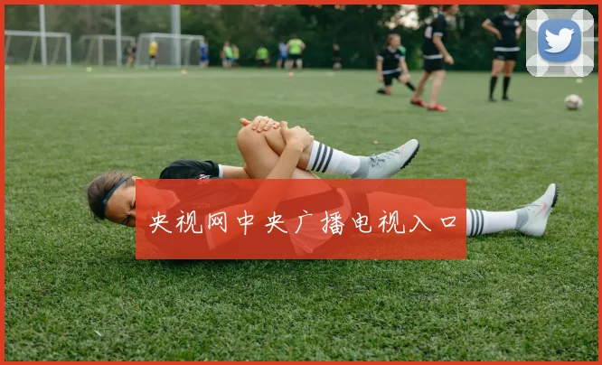 央视网中央广播电视入口