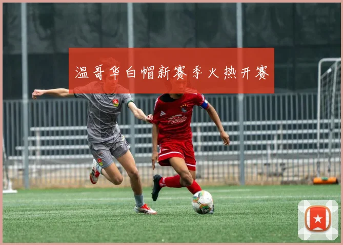 温哥华白帽新赛季火热开赛