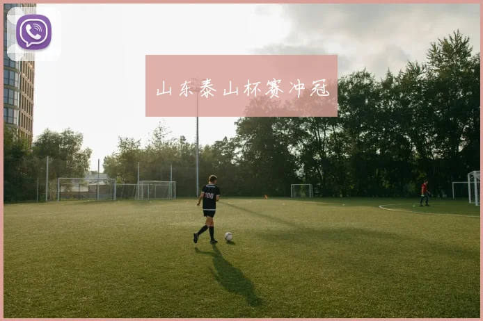 山东泰山杯赛冲冠