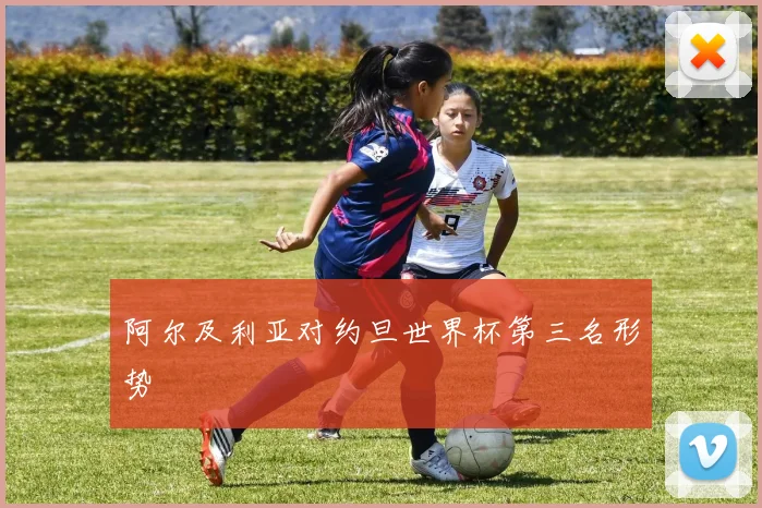 阿尔及利亚对约旦世界杯第三名形势