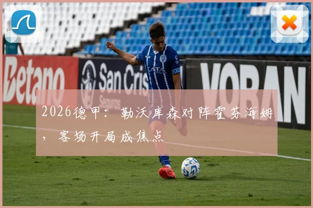 2026德甲:勒沃库森对阵霍芬海姆,客场开局成焦点