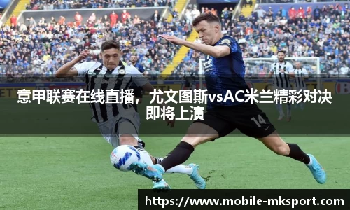 mk体育官网