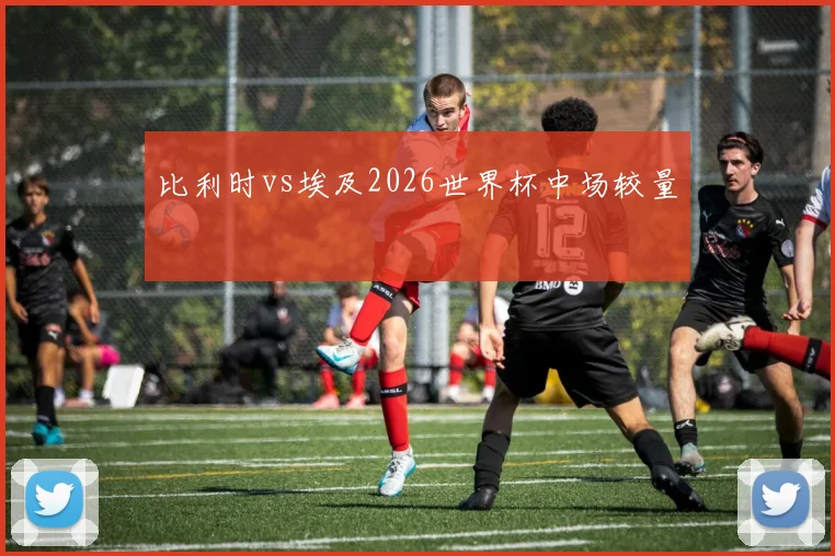 比利时vs埃及2026世界杯中场较量