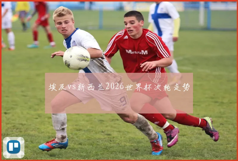 埃及vs新西兰2026世界杯次轮走势