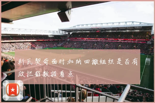 科瓦契奇面对加纳回撤组织是否有效拦截数据看点