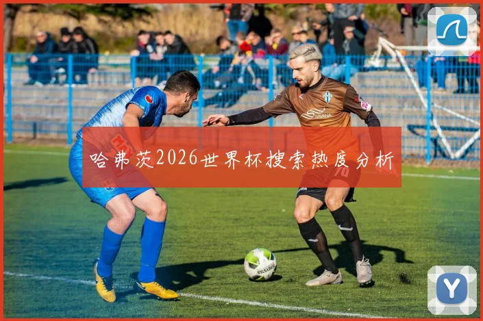 哈弗茨2026世界杯搜索热度分析