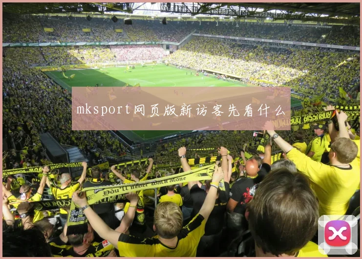 mksport网页版新访客先看什么