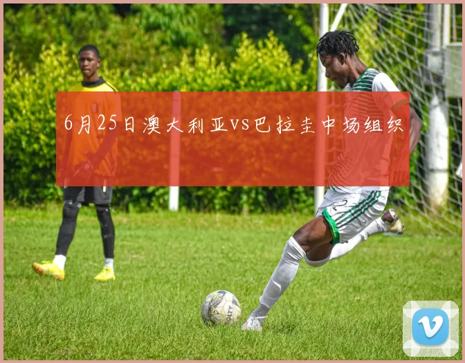 6月25日澳大利亚vs巴拉圭中场组织