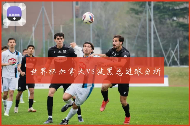 世界杯加拿大vs波黑总进球分析